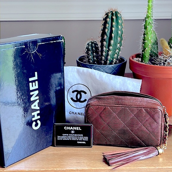 Chanel lizard bag with box, dust cloth, and card - Picture 3 of 15